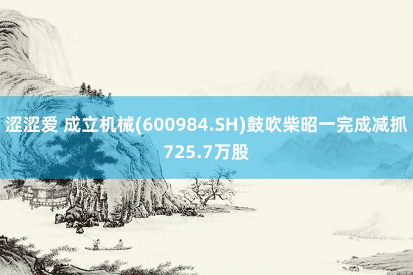涩涩爱 成立机械(600984.SH)鼓吹柴昭一完成减抓725.7万股