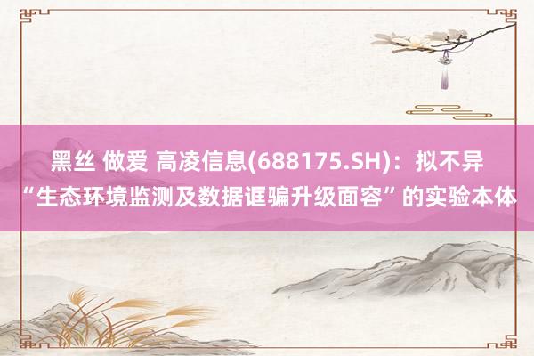 黑丝 做爱 高凌信息(688175.SH)：拟不异“生态环境监测及数据诓骗升级面容”的实验本体