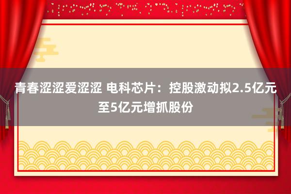 青春涩涩爱涩涩 电科芯片：控股激动拟2.5亿元至5亿元增抓股份