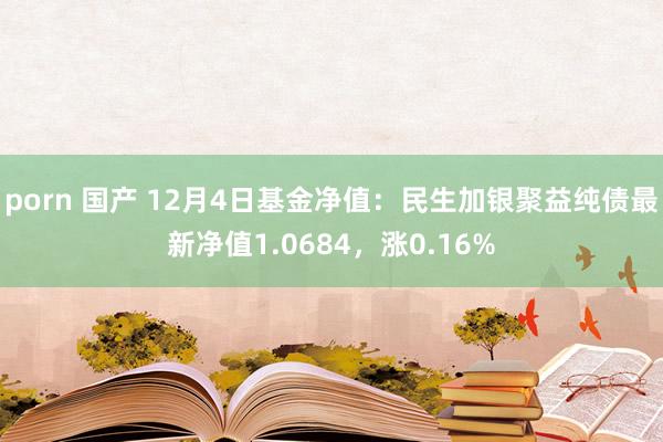 porn 国产 12月4日基金净值：民生加银聚益纯债最新净值1.0684，涨0.16%