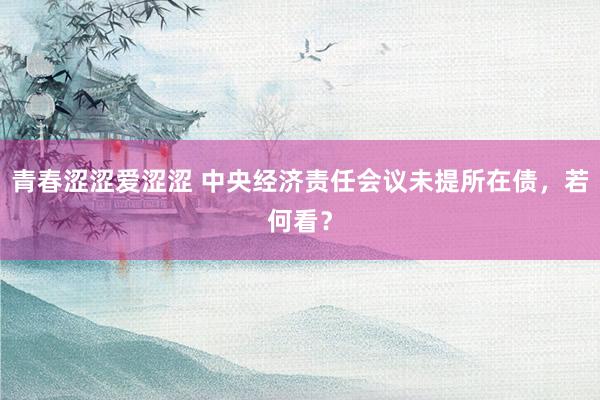 青春涩涩爱涩涩 中央经济责任会议未提所在债，若何看？