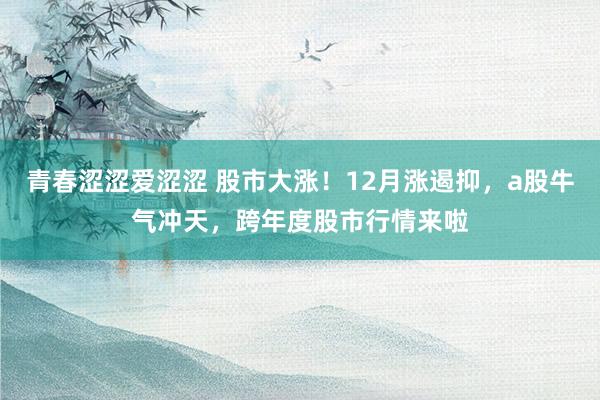 青春涩涩爱涩涩 股市大涨！12月涨遏抑，a股牛气冲天，跨年度股市行情来啦