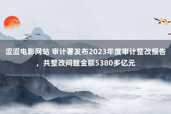 涩涩电影网站 审计署发布2023年度审计整改报告，共整改问题金额5380多亿元