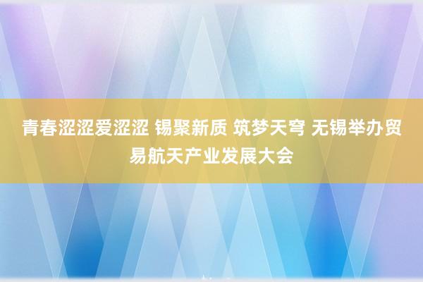青春涩涩爱涩涩 锡聚新质 筑梦天穹 无锡举办贸易航天产业发展大会