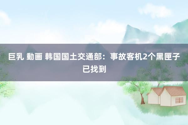 巨乳 動画 韩国国土交通部：事故客机2个黑匣子已找到