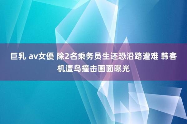 巨乳 av女優 除2名乘务员生还恐沿路遭难 韩客机遭鸟撞击画面曝光