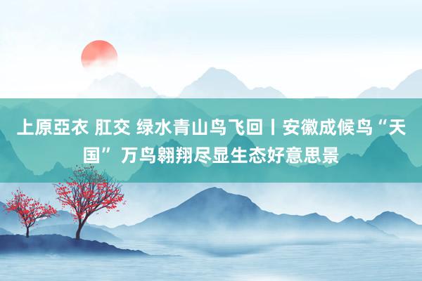 上原亞衣 肛交 绿水青山鸟飞回丨安徽成候鸟“天国” 万鸟翱翔尽显生态好意思景
