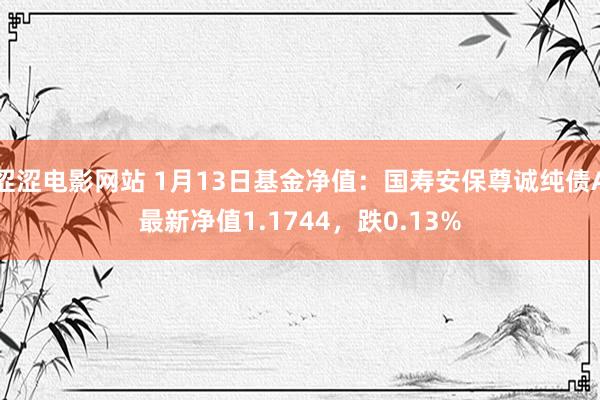 涩涩电影网站 1月13日基金净值：国寿安保尊诚纯债A最新净值1.1744，跌0.13%