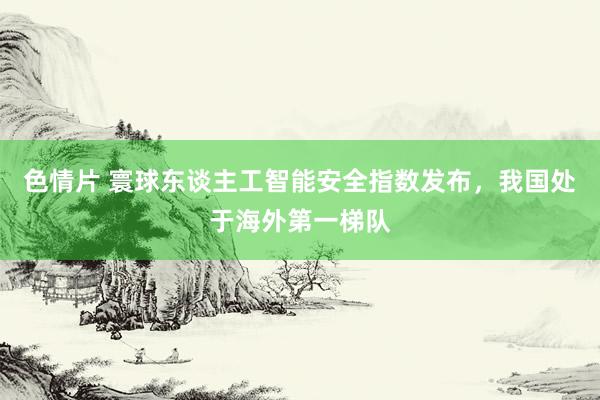 色情片 寰球东谈主工智能安全指数发布，我国处于海外第一梯队