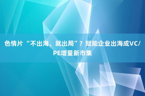 色情片 “不出海、就出局”？赋能企业出海成VC/PE增量新市集