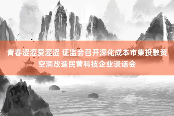 青春涩涩爱涩涩 证监会召开深化成本市集投融资空洞改造民营科技企业谈话会